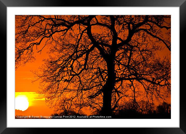 Sunrise Tree Silhouette Framed Mounted Print by Darren Burroughs