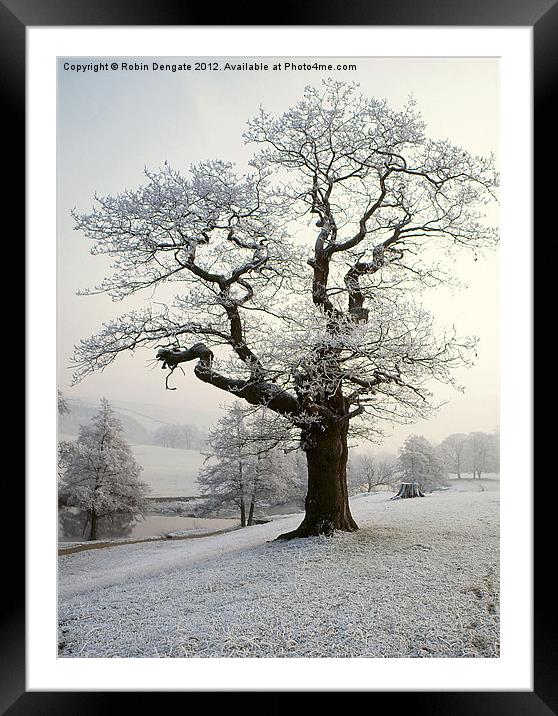 Hoar Frost in Chatsworth Park Framed Mounted Print by Robin Dengate