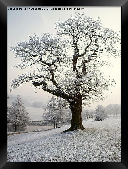 Hoar Frost in Chatsworth Park Framed Print by Robin Dengate