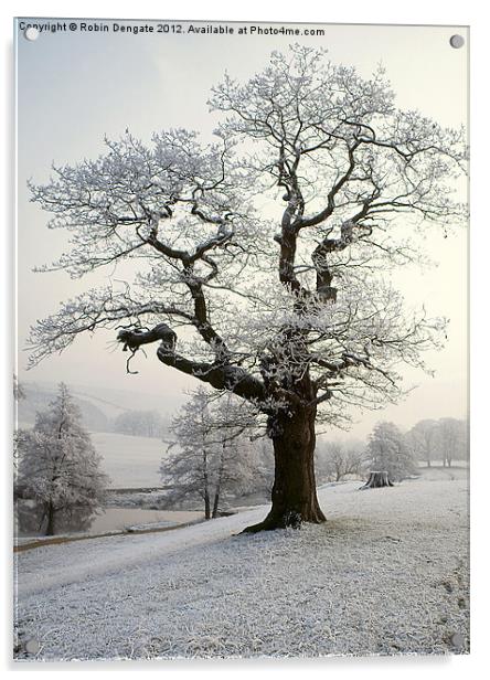 Hoar Frost in Chatsworth Park Acrylic by Robin Dengate