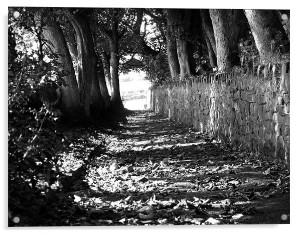 church path autumn Acrylic by TERENCE O'NEILL