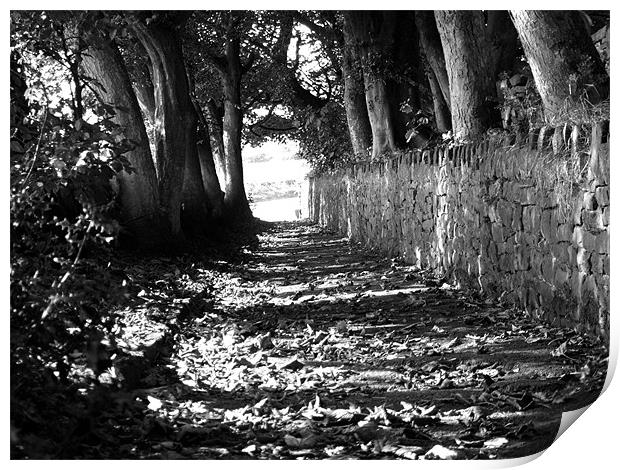 church path autumn Print by TERENCE O'NEILL