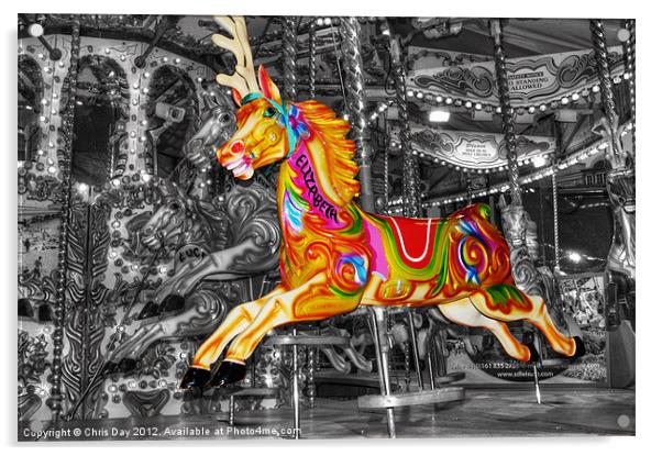 Carousel Horse Elizabeth Acrylic by Chris Day