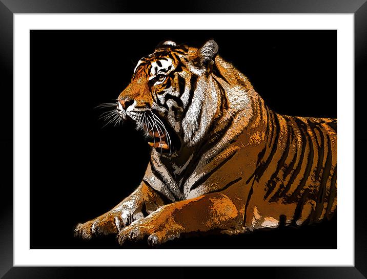 Posterised Tiger Framed Mounted Print by Tom Reed