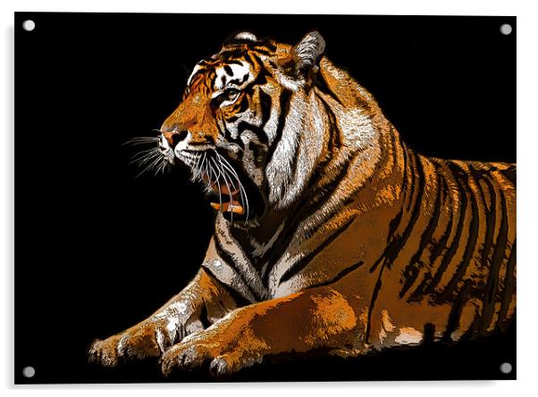 Posterised Tiger Acrylic by Tom Reed