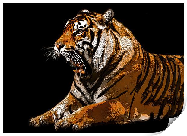 Posterised Tiger Print by Tom Reed