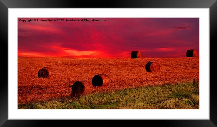 Haystack Dawn Framed Mounted Print by Andrew Driver