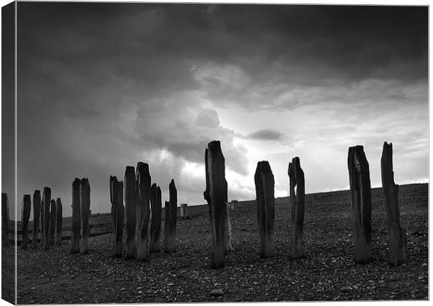 Sea Defences at Pett Levels Canvas Print by Brian Sharland