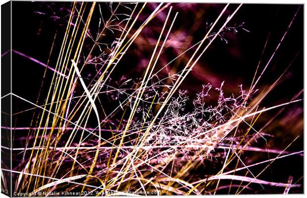 Wild Grasses Abstract Canvas Print by Natalie Kinnear