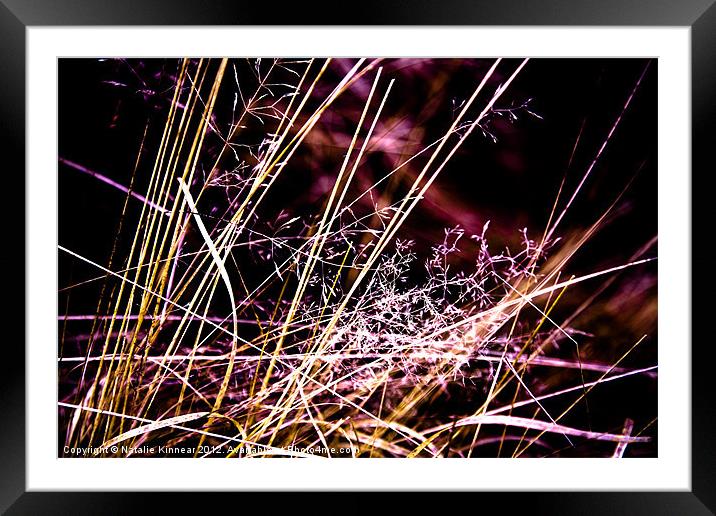 Wild Grasses Abstract Framed Mounted Print by Natalie Kinnear
