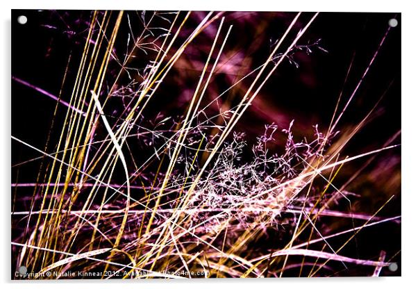 Wild Grasses Abstract Acrylic by Natalie Kinnear