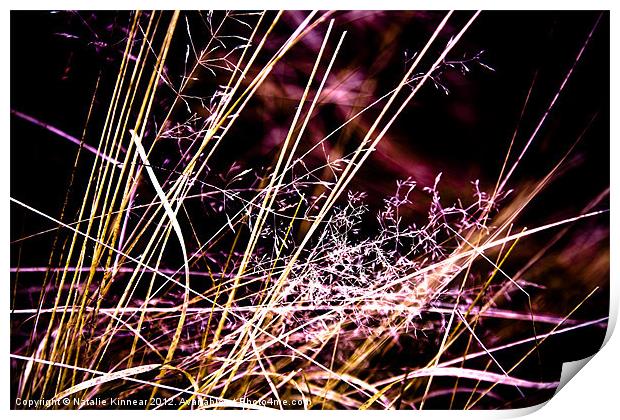 Wild Grasses Abstract Print by Natalie Kinnear