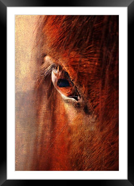 Window to the Soul Framed Mounted Print by Dawn Cox