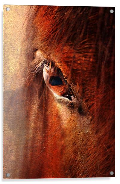 Window to the Soul Acrylic by Dawn Cox