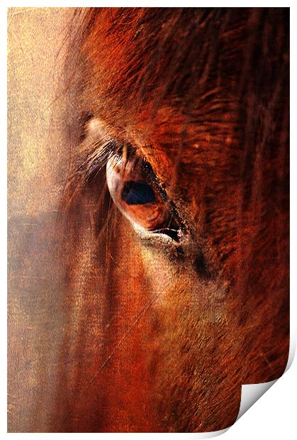 Window to the Soul Print by Dawn Cox