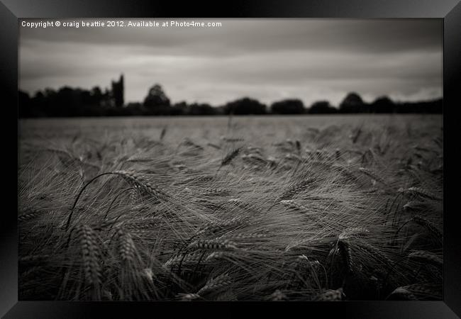 Black and White Corn Field Framed Print by craig beattie