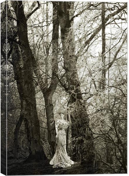 Lady of the Woods Canvas Print by Dawn Cox