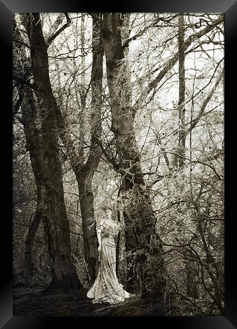 Lady of the Woods Framed Print by Dawn Cox