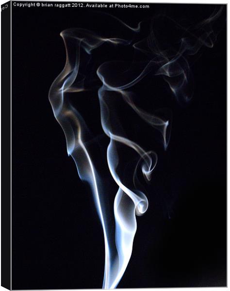 Simply Smoke 1 Canvas Print by Brian  Raggatt
