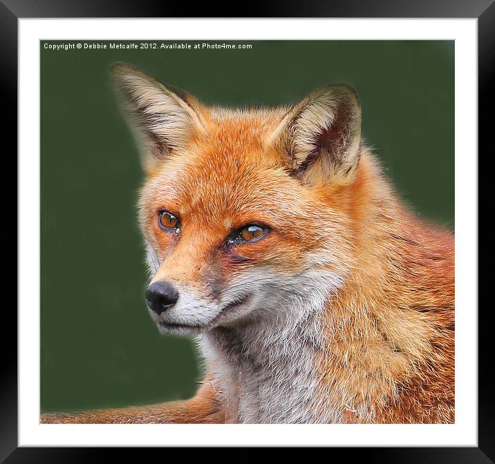 Dreamy Fox Framed Mounted Print by Debbie Metcalfe