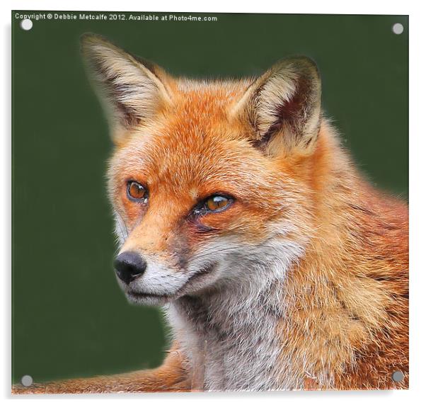Dreamy Fox Acrylic by Debbie Metcalfe