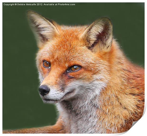 Dreamy Fox Print by Debbie Metcalfe
