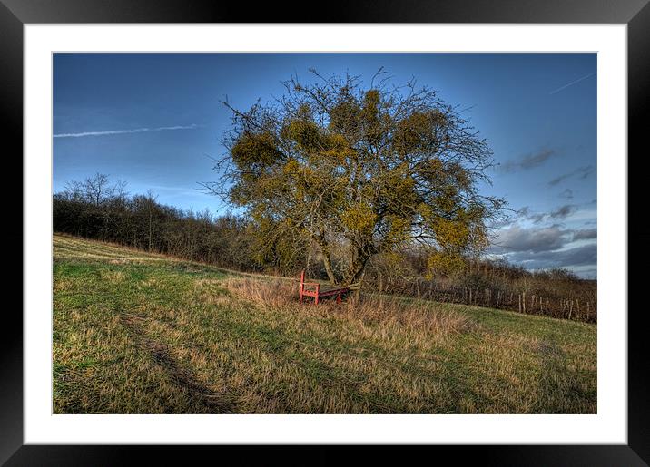 the bench Framed Mounted Print by Jo Beerens