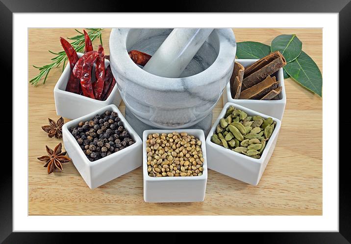 Herbs and Spices Framed Mounted Print by Diana Mower