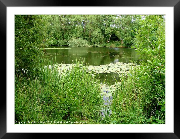 Summertime In Kingsbury Water Park Framed Mounted Print by philip milner