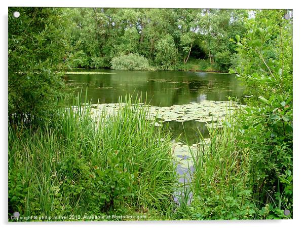 Summertime In Kingsbury Water Park Acrylic by philip milner