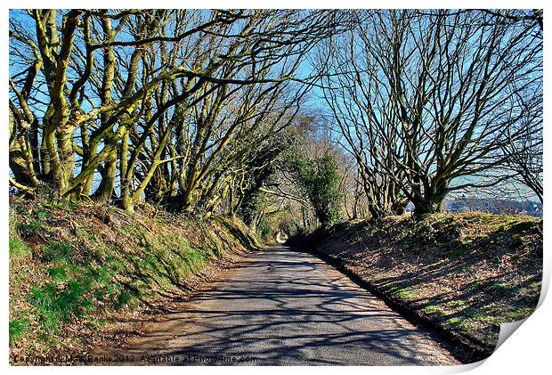 Frensham Lane Print by Mark  F Banks