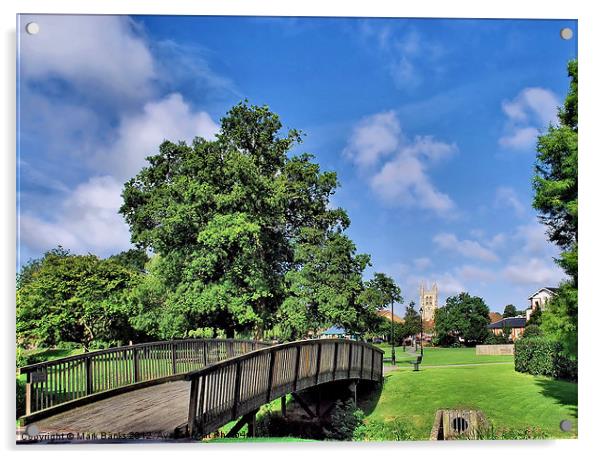 Gostrey Meadows ,Farnham ,Surrey Acrylic by Mark  F Banks