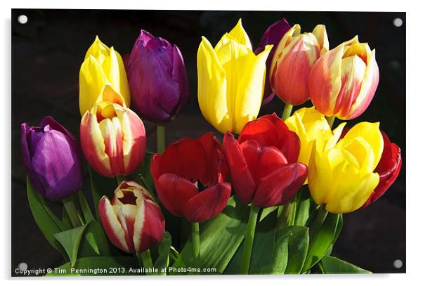 Spring Flowers Acrylic by Tim Pennington