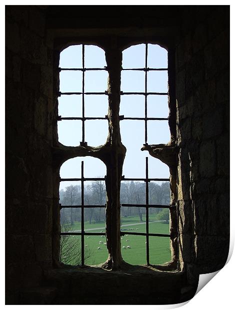 Old Window  Print by Christopher Borrill-Townsend