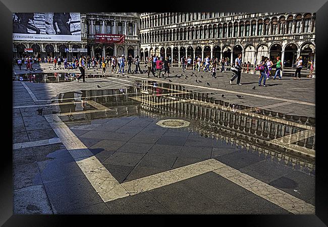 Reflections in Piazza San Marco Framed Print by Tom Gomez