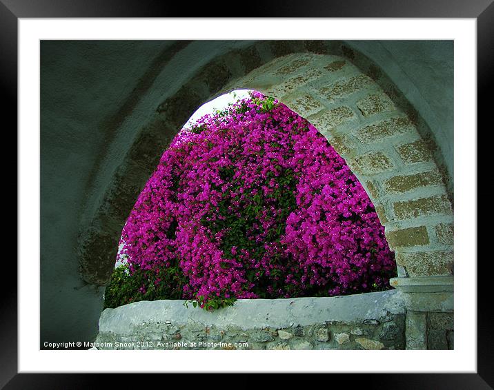 Purple flowers through an arch Framed Mounted Print by Malcolm Snook