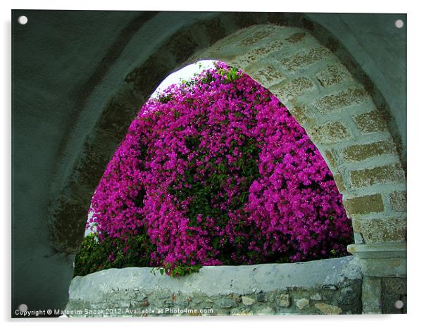 Purple flowers through an arch Acrylic by Malcolm Snook