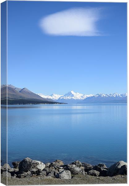 View on Mount Cook from Pukaki lake Canvas Print by Michelle PREVOT