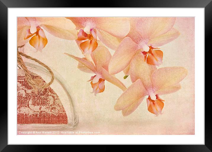 Orchid Falls Framed Mounted Print by Ann Garrett