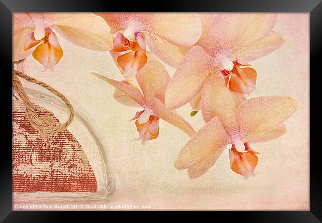 Orchid Falls Framed Print by Ann Garrett