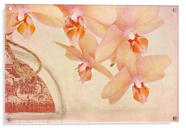 Orchid Falls Acrylic by Ann Garrett