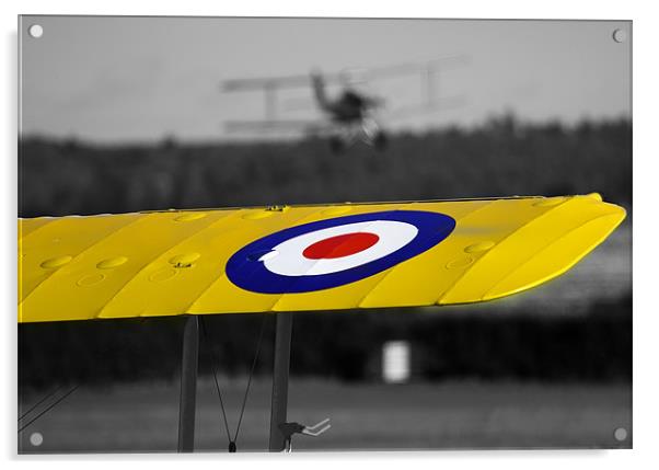 RAF Tiger Moth Trainer Acrylic by Richard Thomas