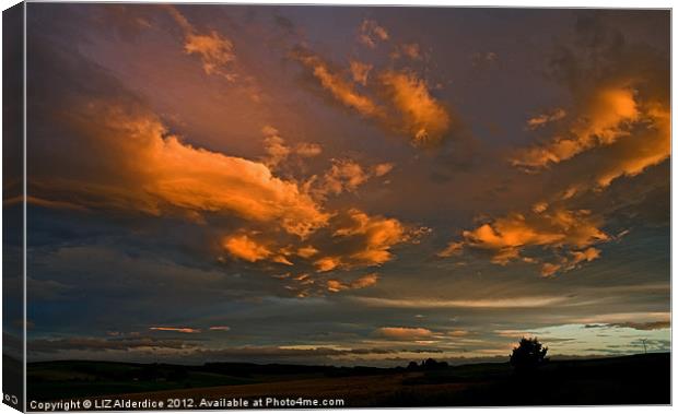 Sunset Clouds Canvas Print by LIZ Alderdice