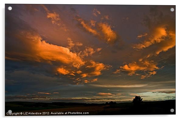 Sunset Clouds Acrylic by LIZ Alderdice