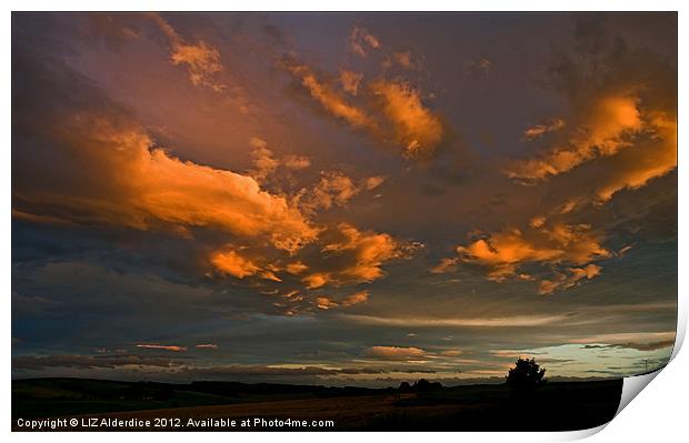 Sunset Clouds Print by LIZ Alderdice
