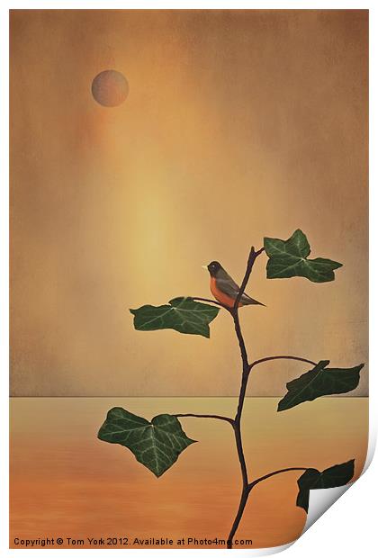 A MOMENT OF ZEN Print by Tom York