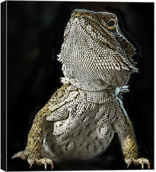 Posterized Bearded Dragon Canvas Print by Tom Reed