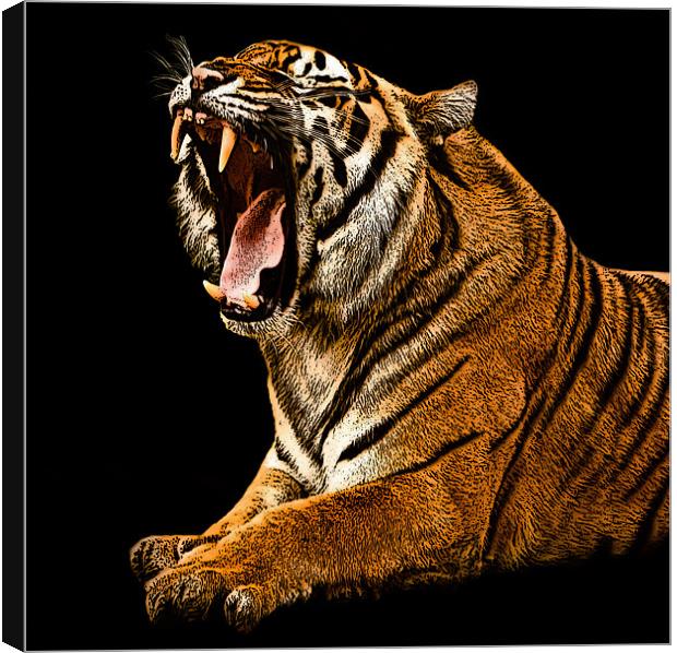 Posterized Tiger 2 Canvas Print by Tom Reed