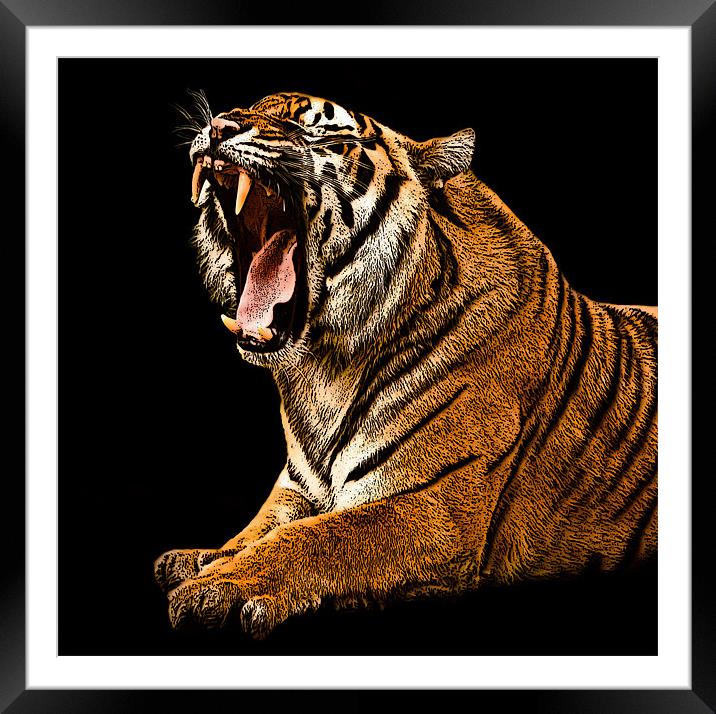 Posterized Tiger 2 Framed Mounted Print by Tom Reed