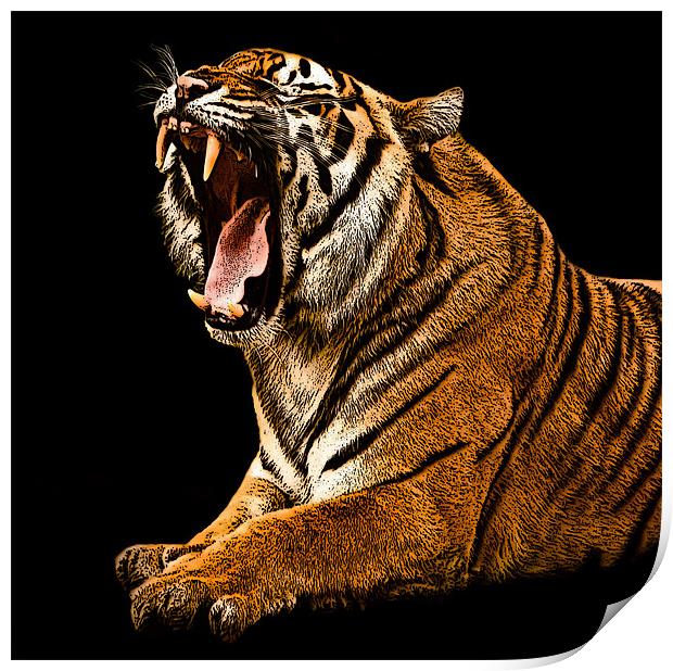 Posterized Tiger 2 Print by Tom Reed
